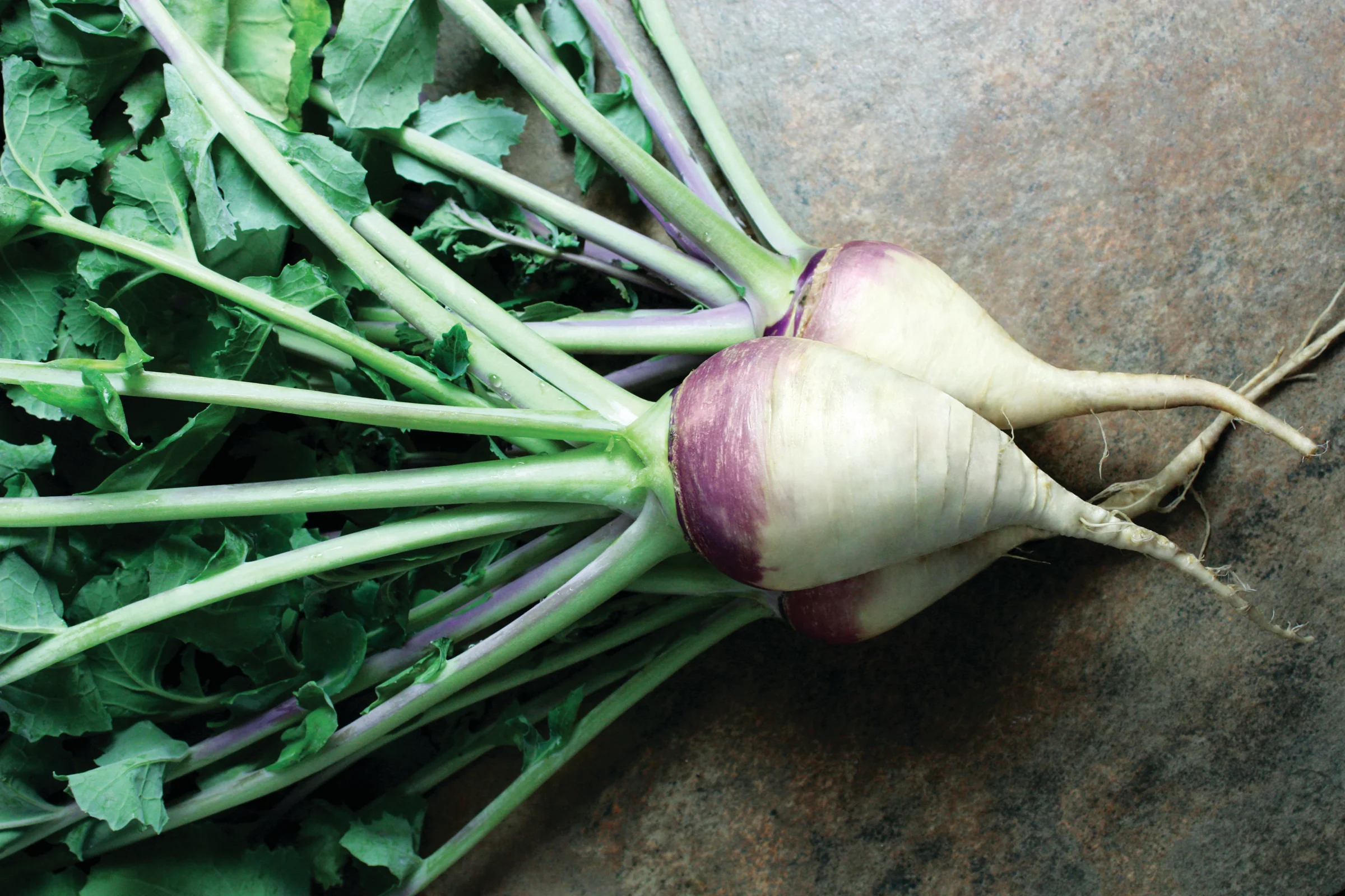 American Purple Top Rutabaga Seeds