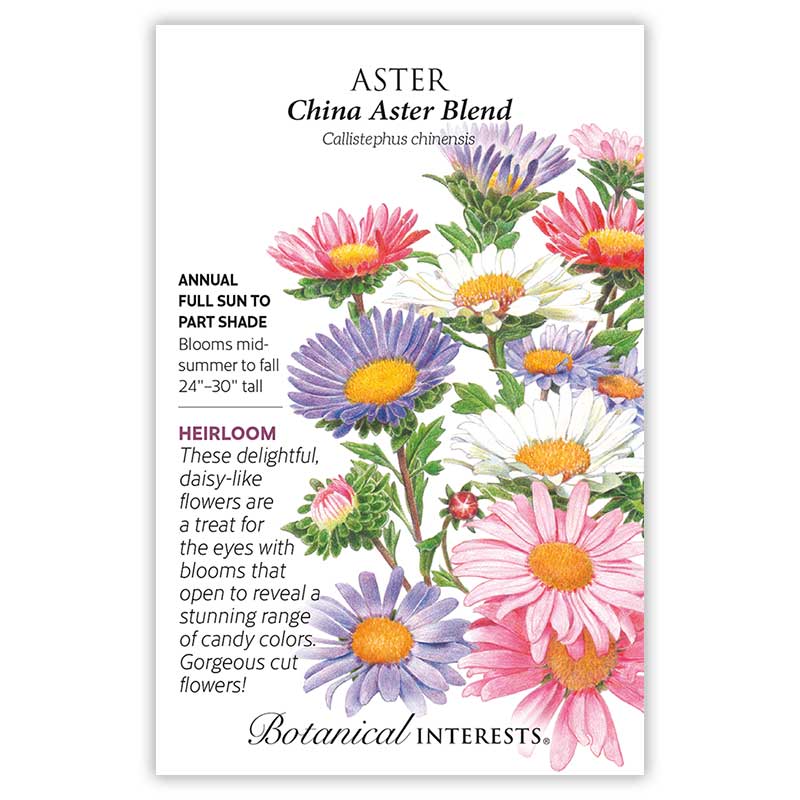China Blend Aster