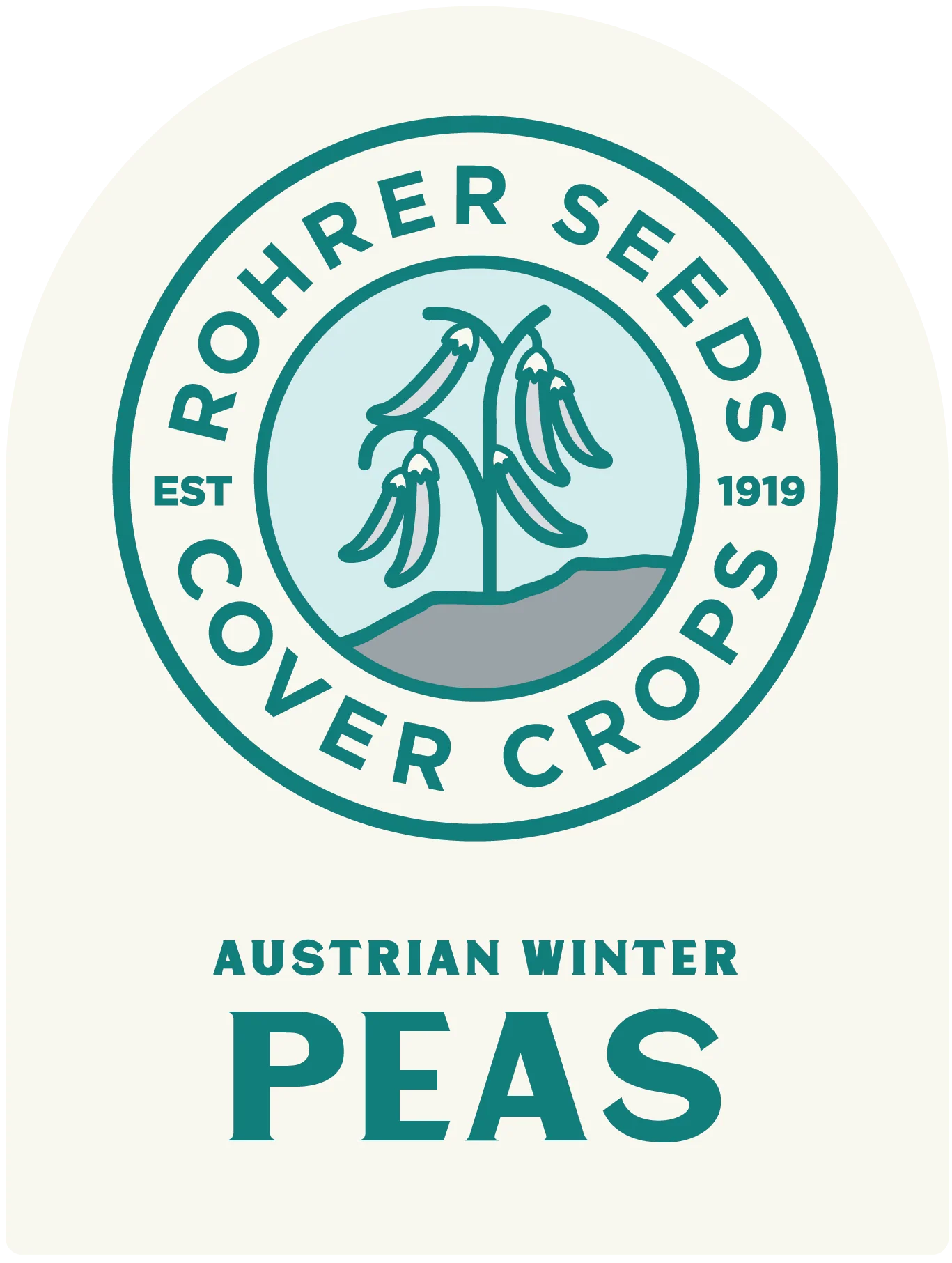 Austrian Winter Pea Seeds - Image 2