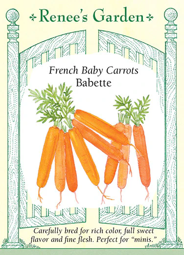 Baby Babette French Carrot - Image 2
