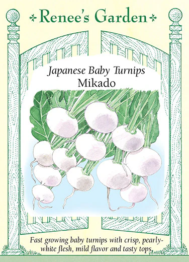 Mikado Baby Turnip - Image 2