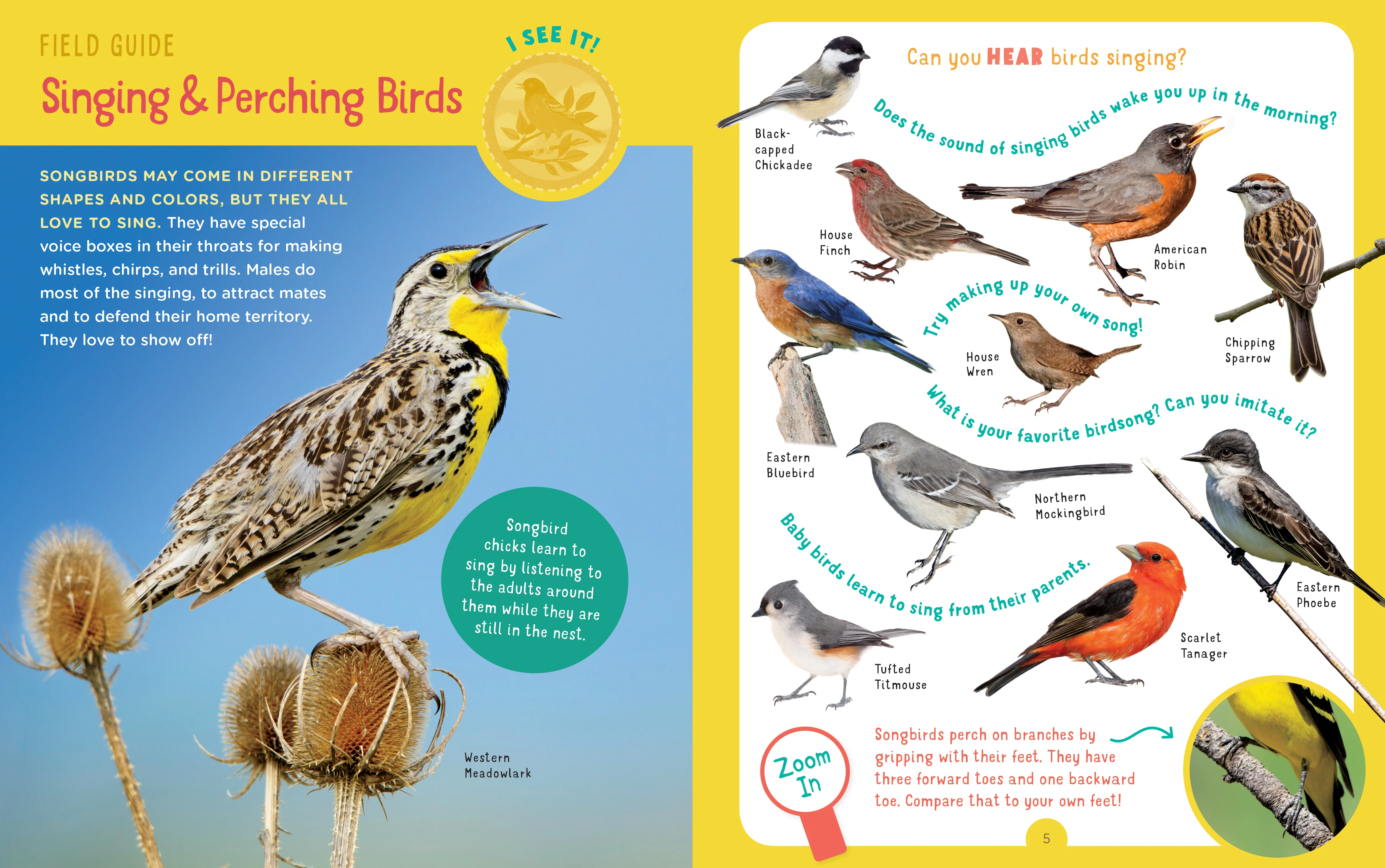 Backpack Explorer: Bird Watch - Image 2