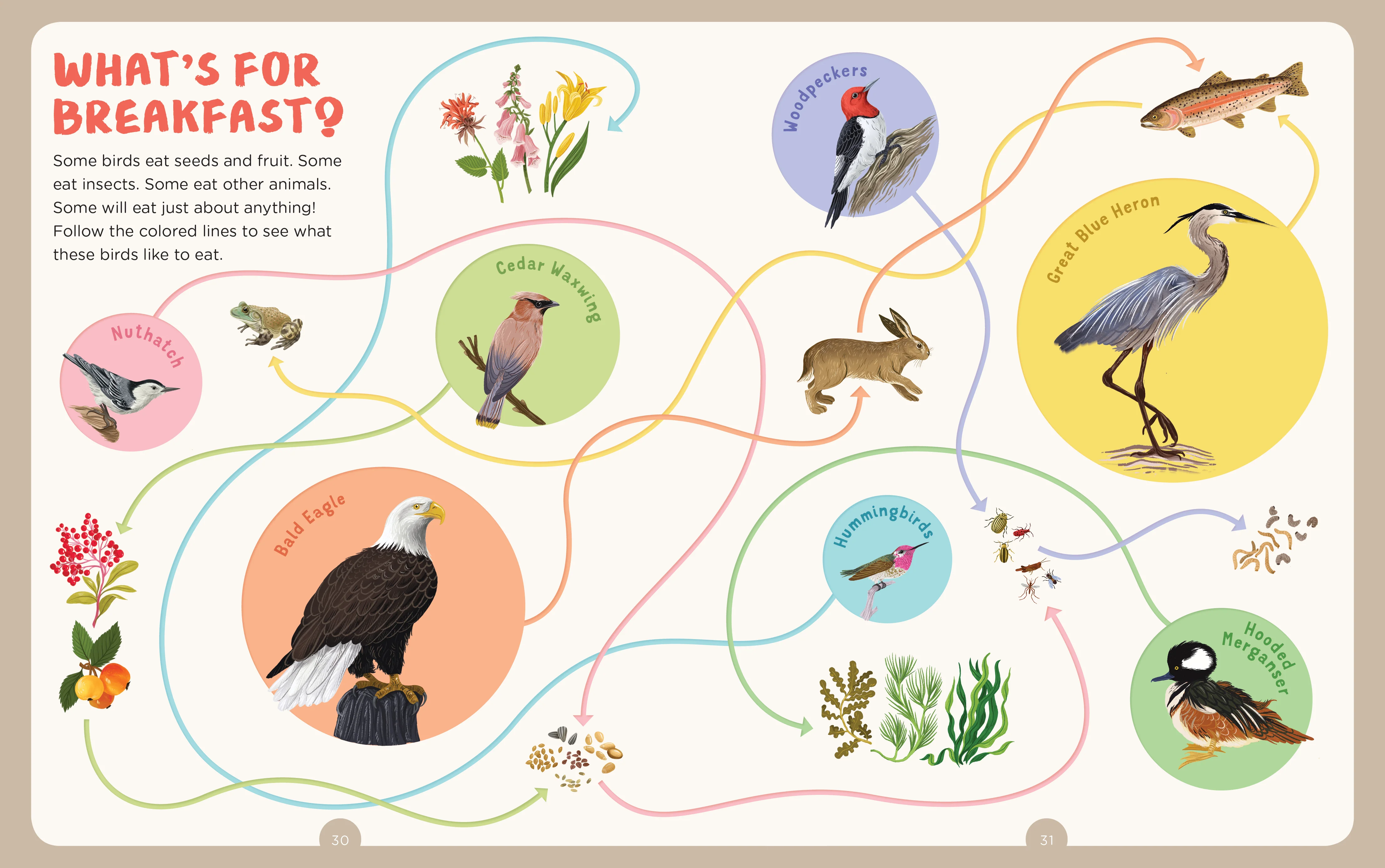 Backpack Explorer: Bird Watch - Image 4