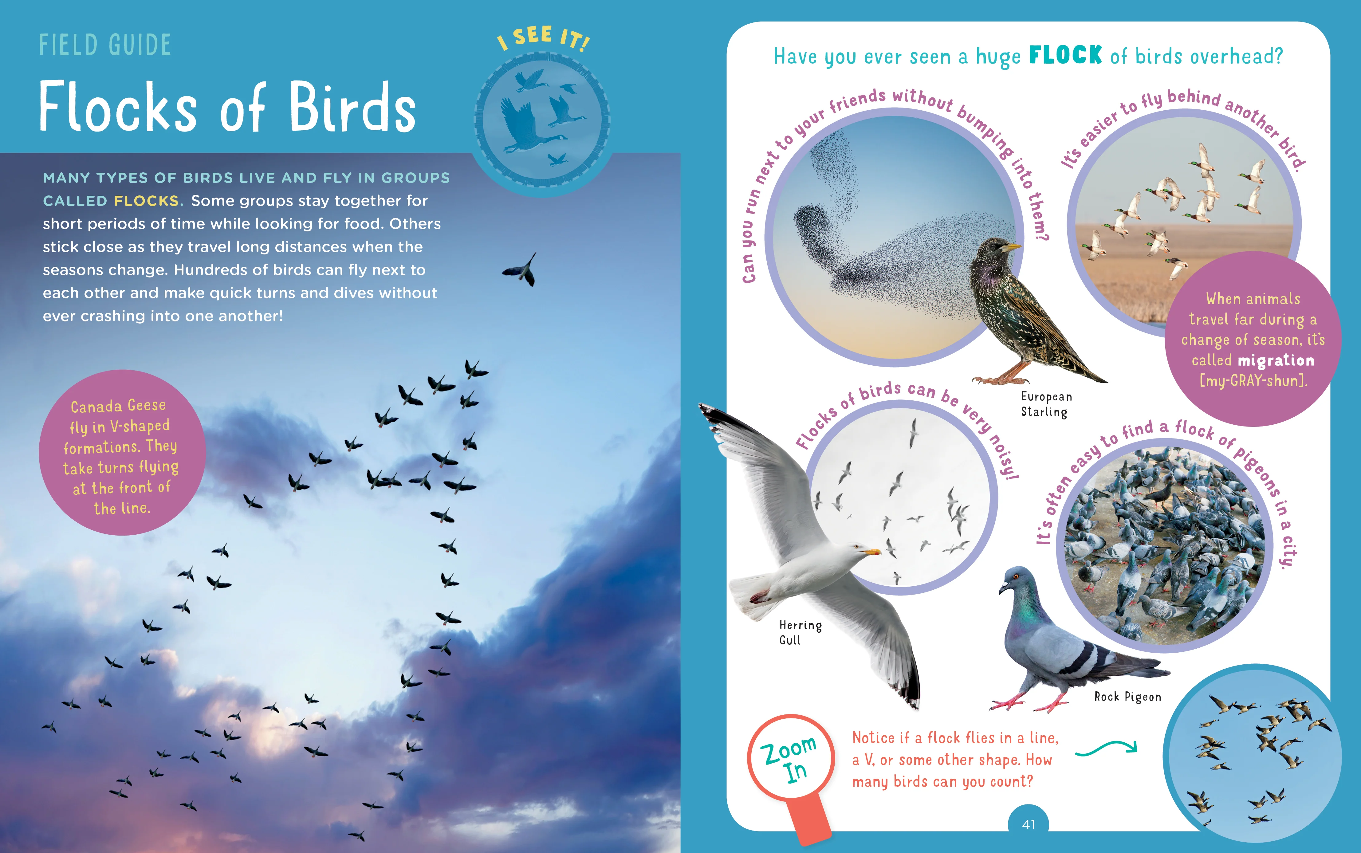 Backpack Explorer: Bird Watch - Image 5