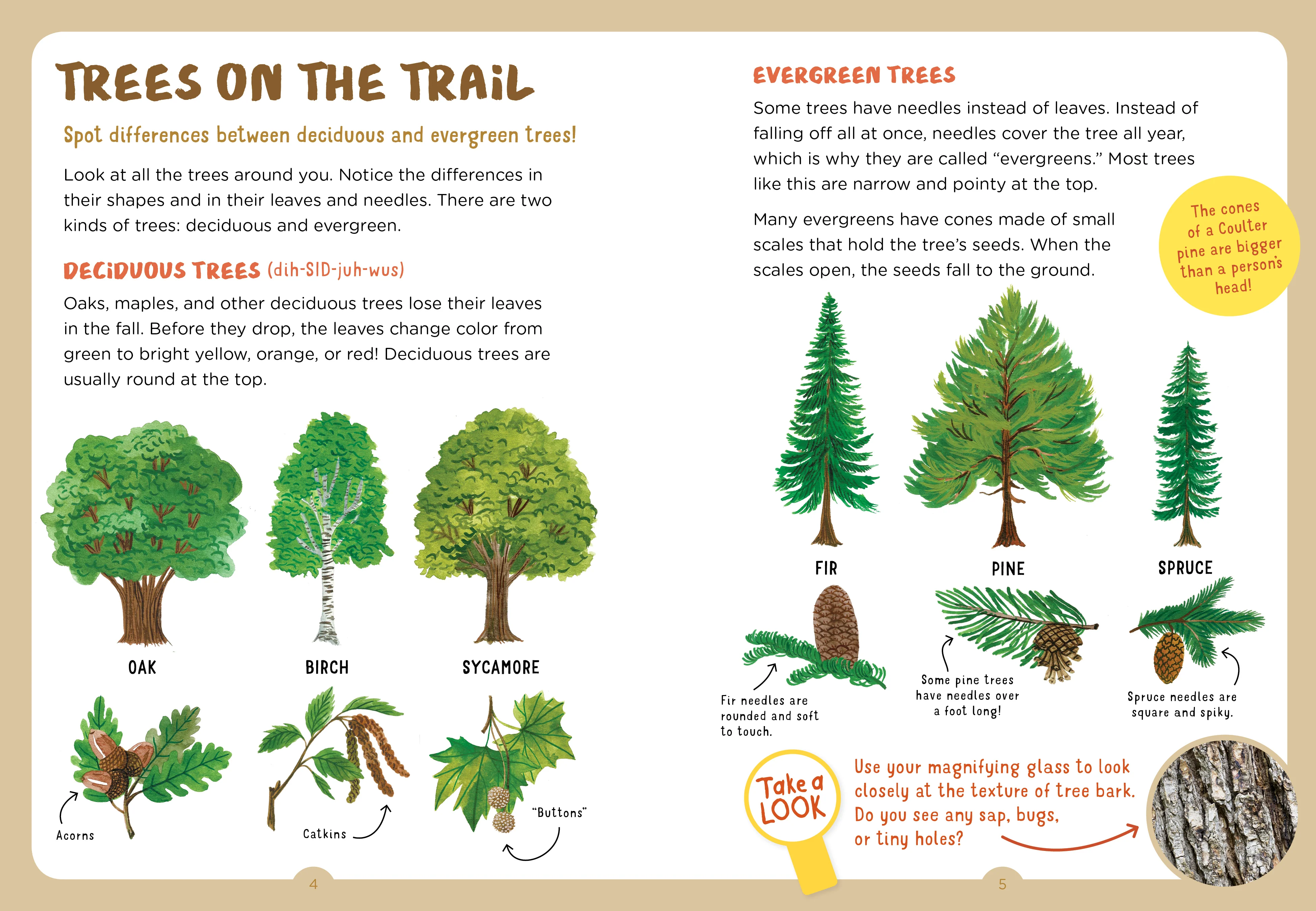 Backpack Explorer: Nature Trail - Image 2