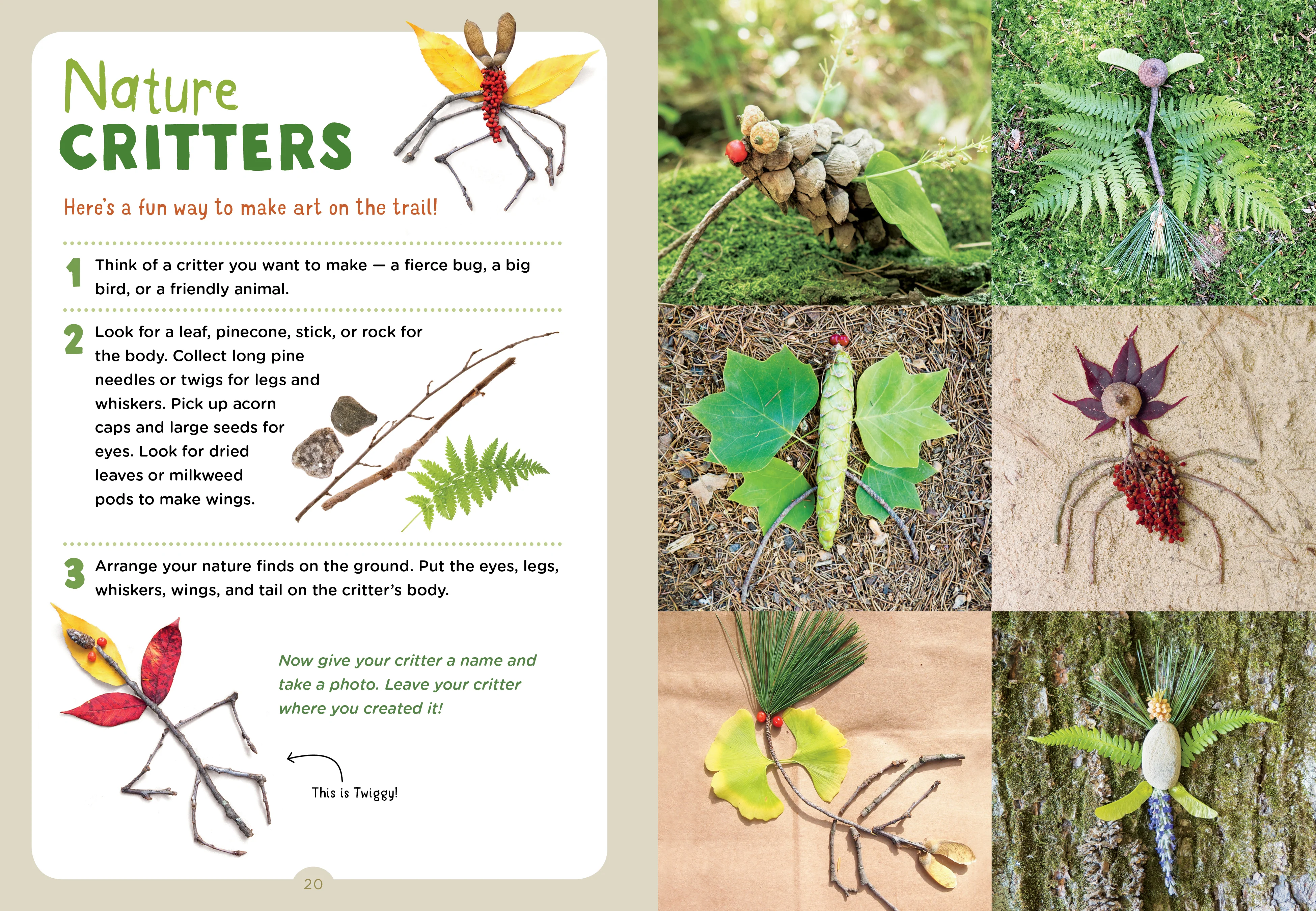 Backpack Explorer: Nature Trail - Image 5