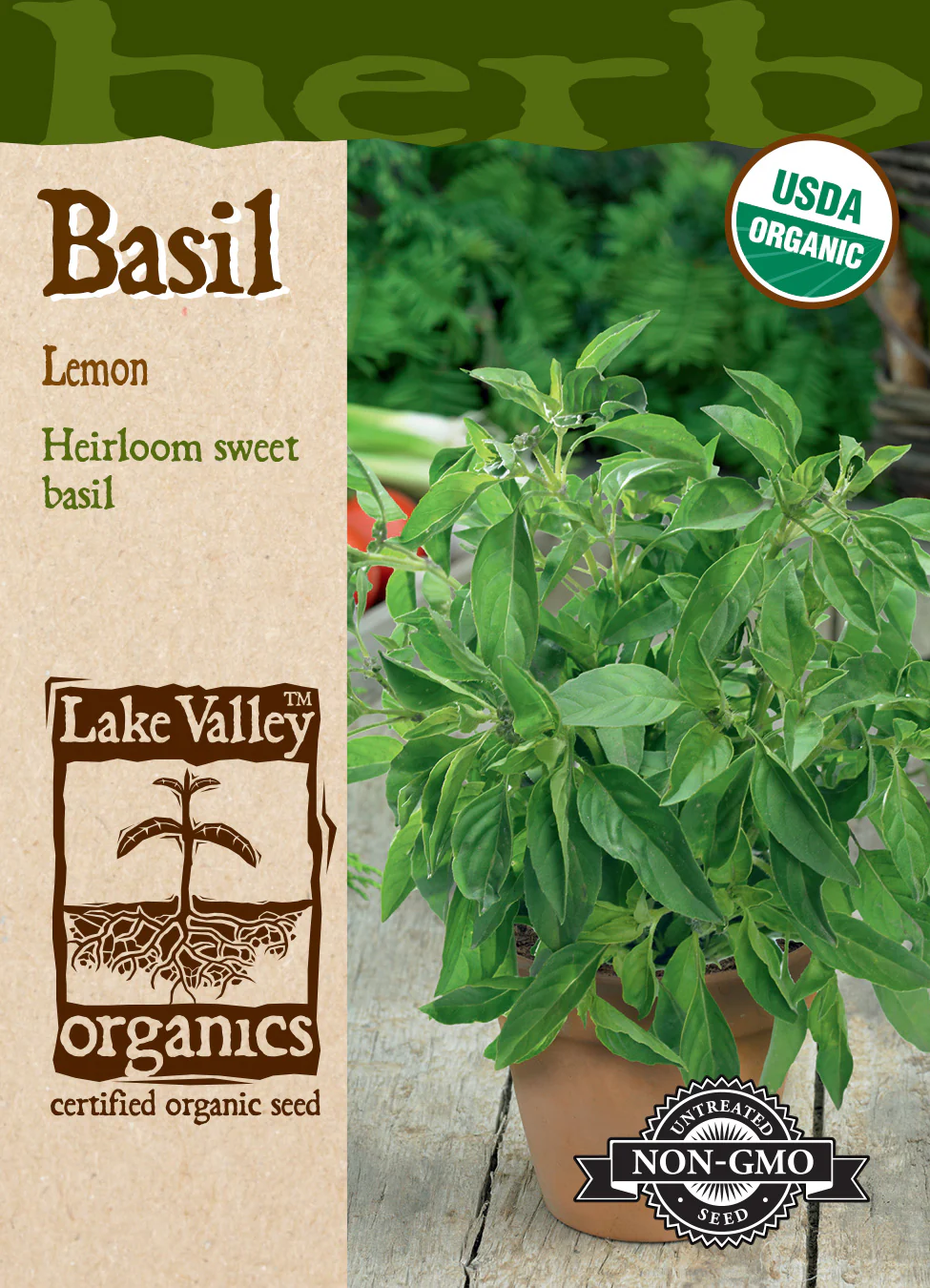 Organic Lemon Basil