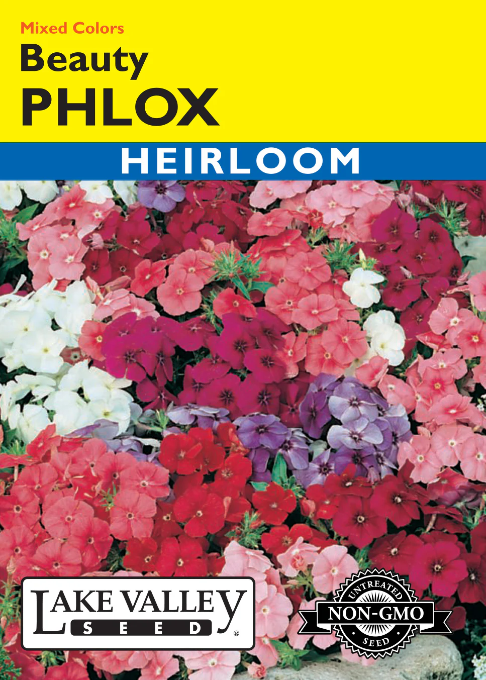 Beauty Phlox - Mixed Colors