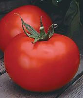 Better Boy Hybrid Tomato Seeds - Image 3