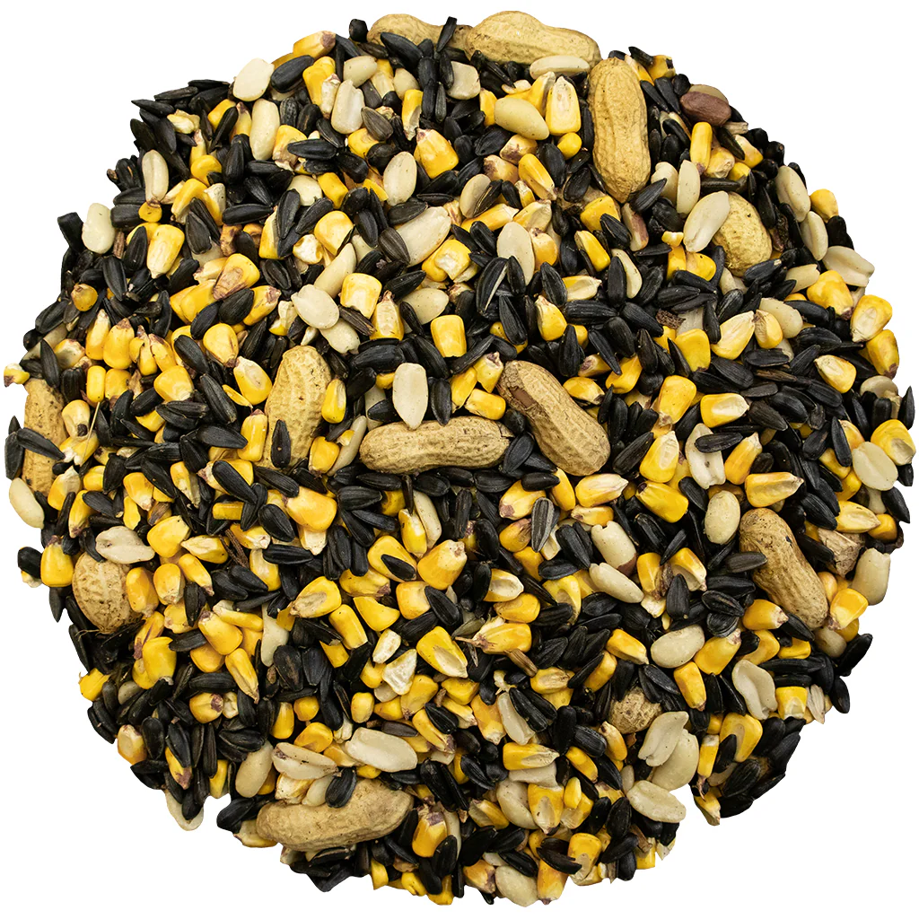 Bird Pro Critter Blend (10 lb) - Image 2