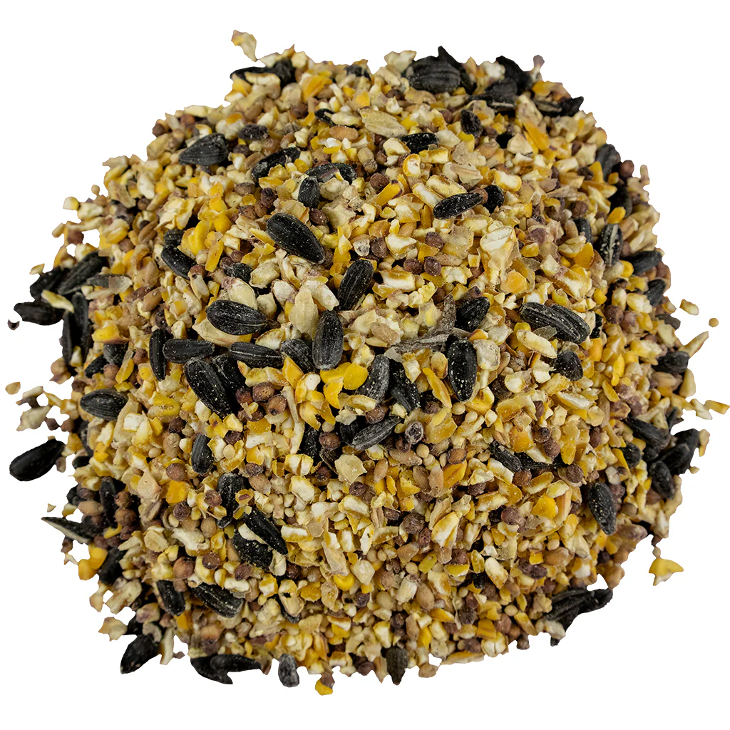 Bird Pro Everyday Economy (18 lb) - Image 3