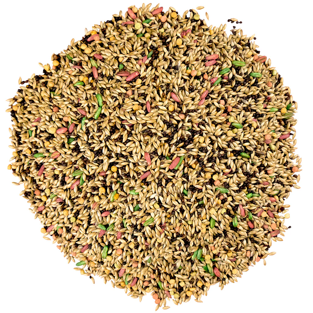 Bird Pro Fortified Canary and Finch (5 lb) - Image 3