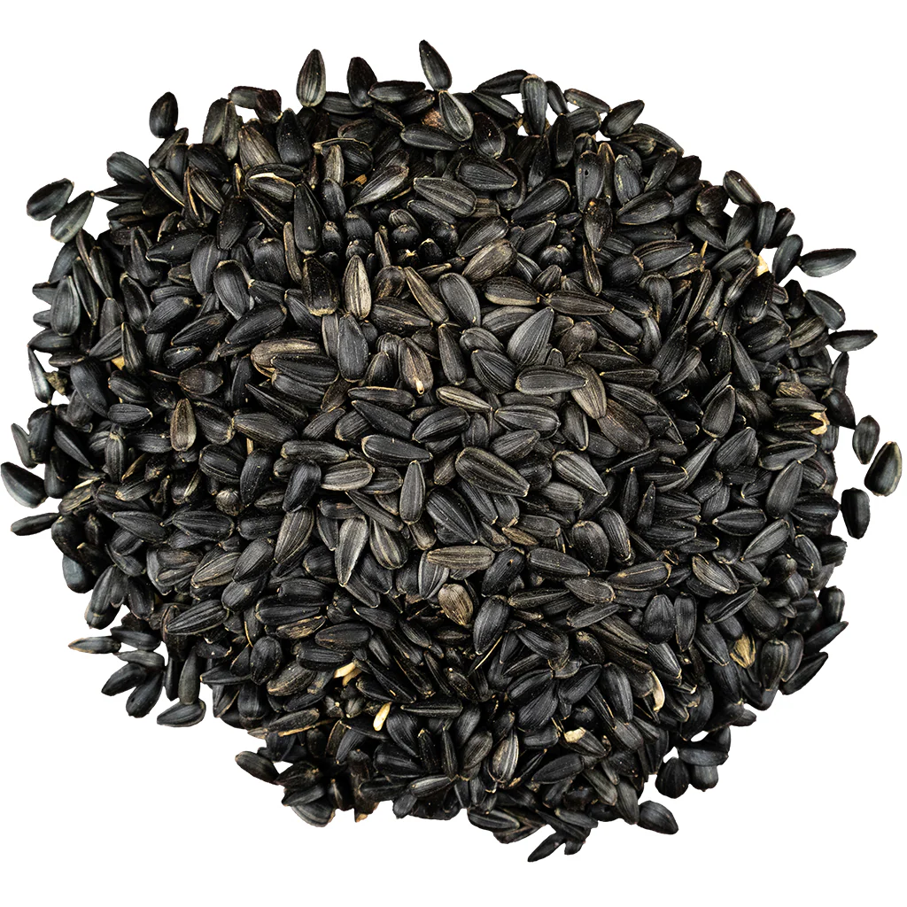 Bird Pro Premium Black Oil Sunflower Seed (4 lb) - Image 3