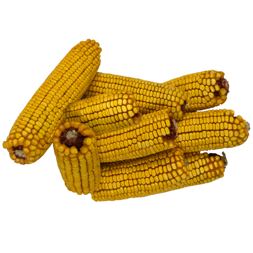 Bird Pro Premium Ear Corn (14 lb) - Image 3