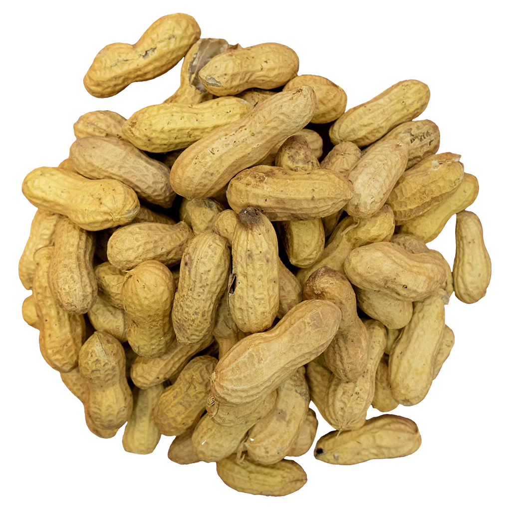 Bird Pro Premium Raw Peanuts In-Shell (7 lb) - Image 3