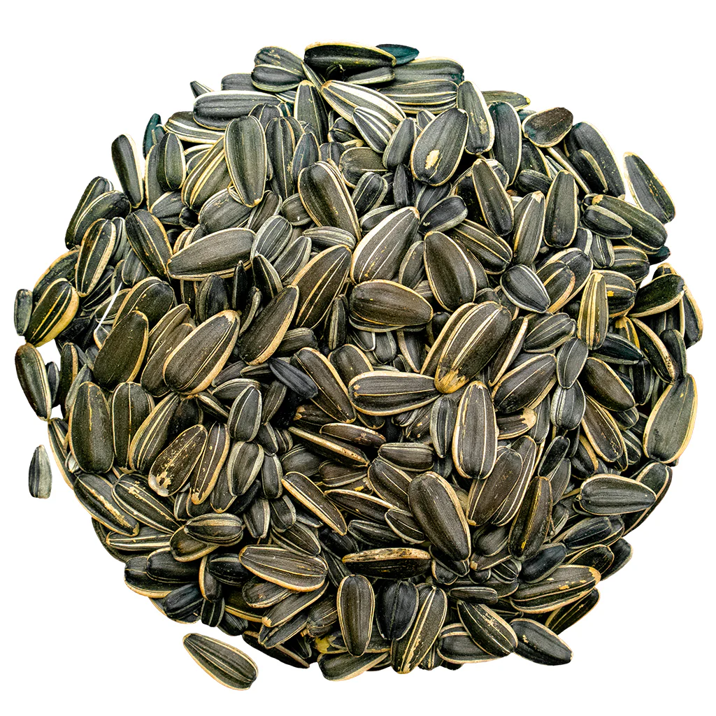Bird Pro Premium Striped Sunflower Seed (4 lb) - Image 3