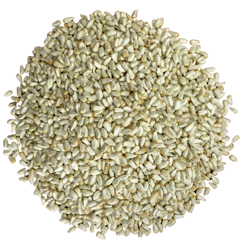 Bird Pro Premium White Safflower Seed (5 lb) - Image 3
