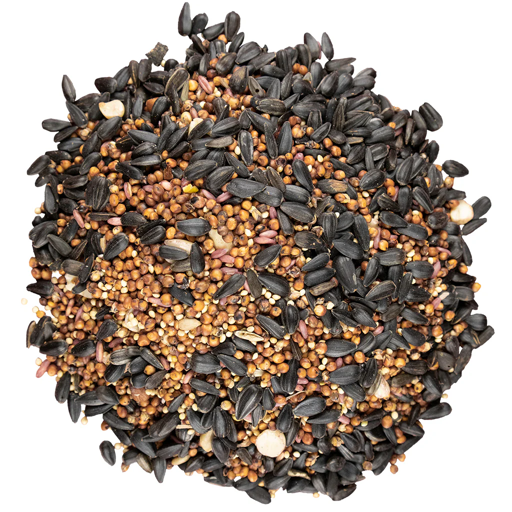 Bird Pro Year Round Cherry Bonanza (10 lb) - Image 3