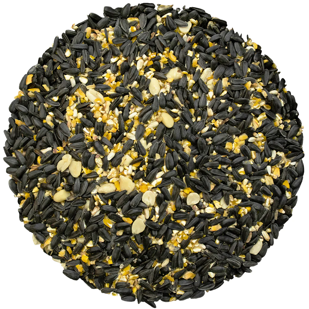 Bird Pro Year Round Favorite (10 lb) - Image 3