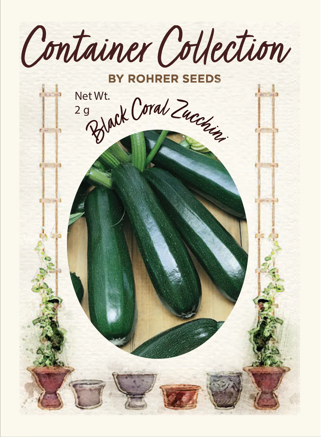 Black Coral Zucchini Squash (15 seeds) Container Collection - Image 2