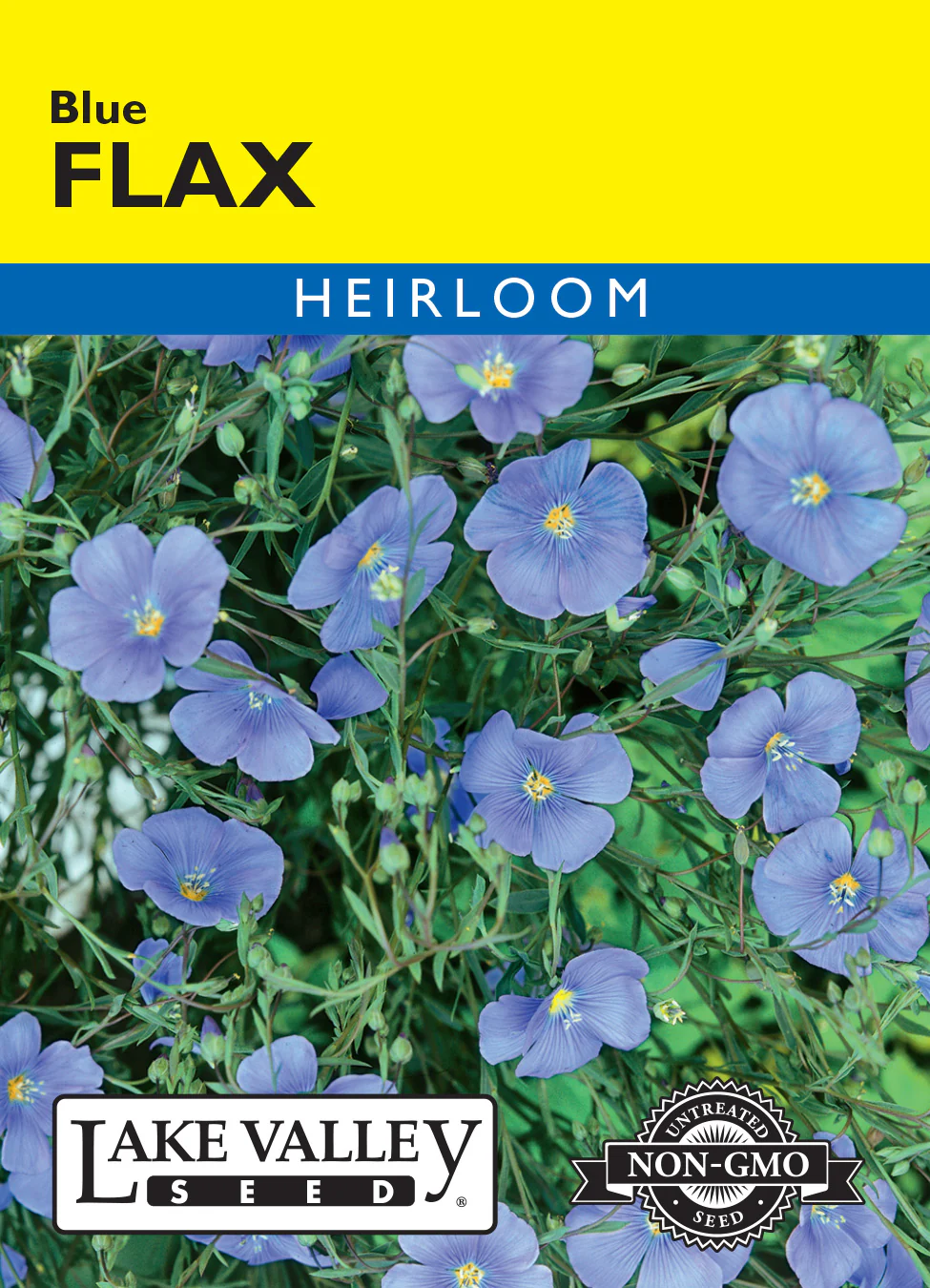 Blue Flax