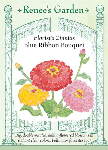 Blue Ribbon Bouquet Zinnias - Image 2