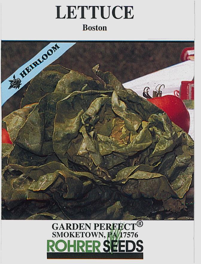 Boston Dark Green Lettuce Seeds