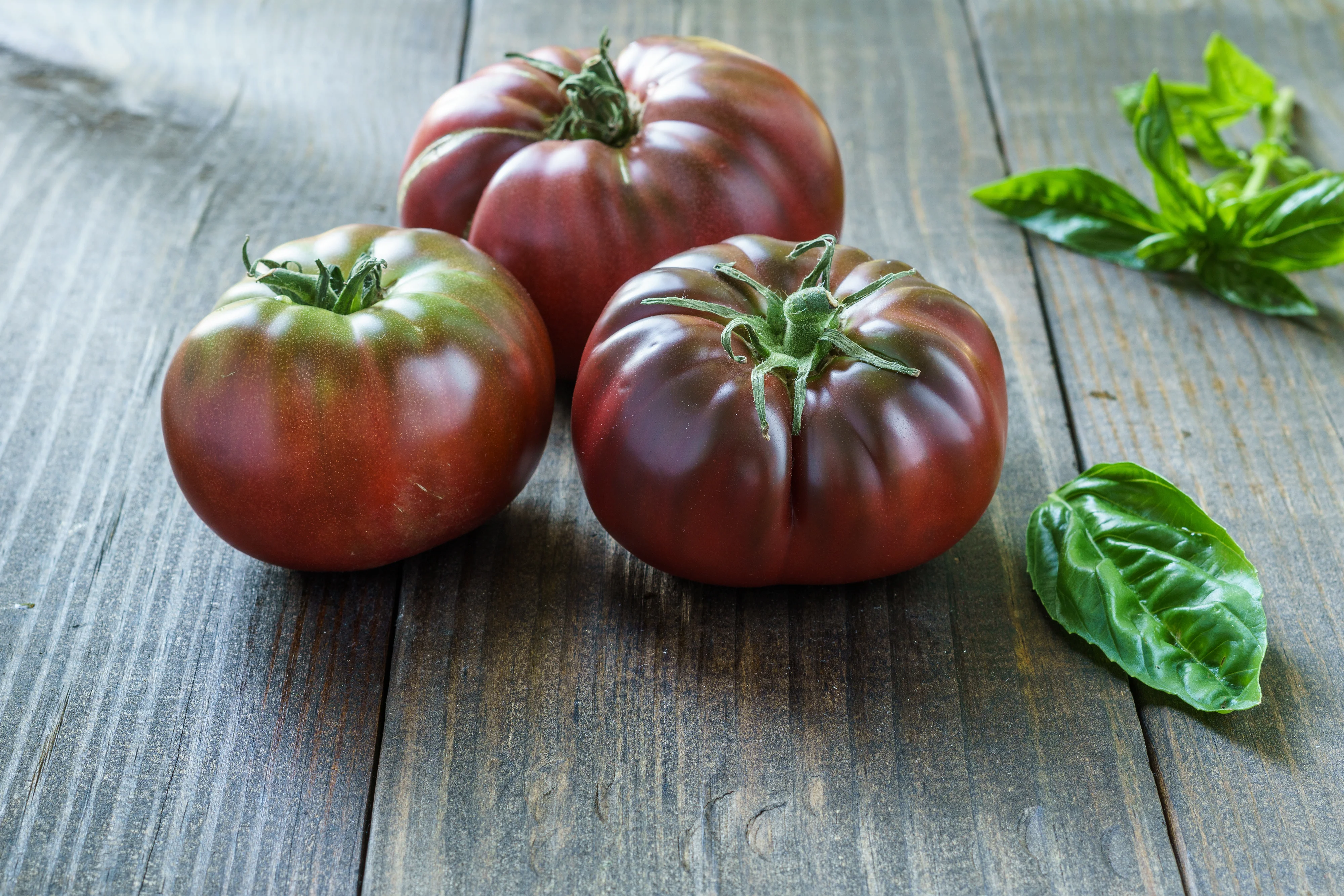 True Black Brandywine Tomato Seeds