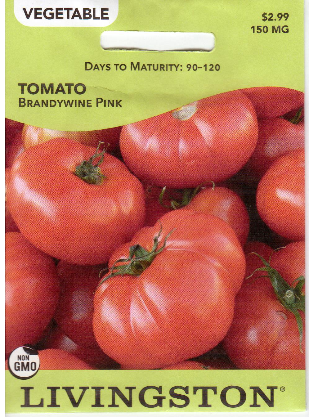 Brandywine Pink Tomato