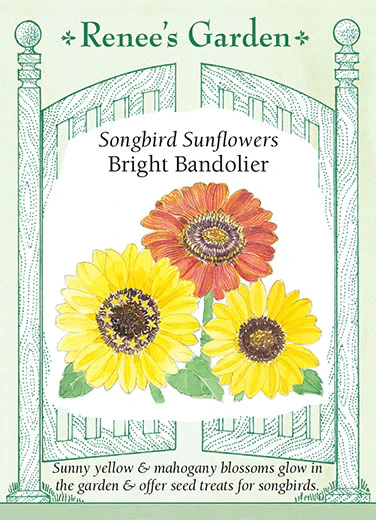 Bright Bandolier Sunflower - Image 2
