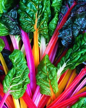 Bright Lights Swiss Chard (150 seeds), Container Collection