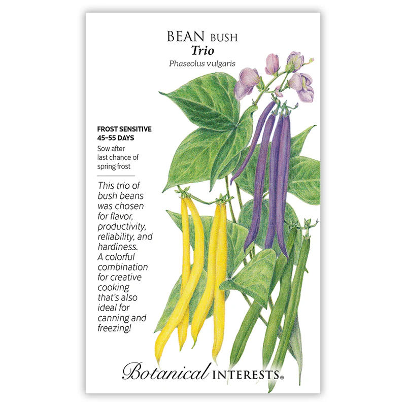 Trio Bush Bean