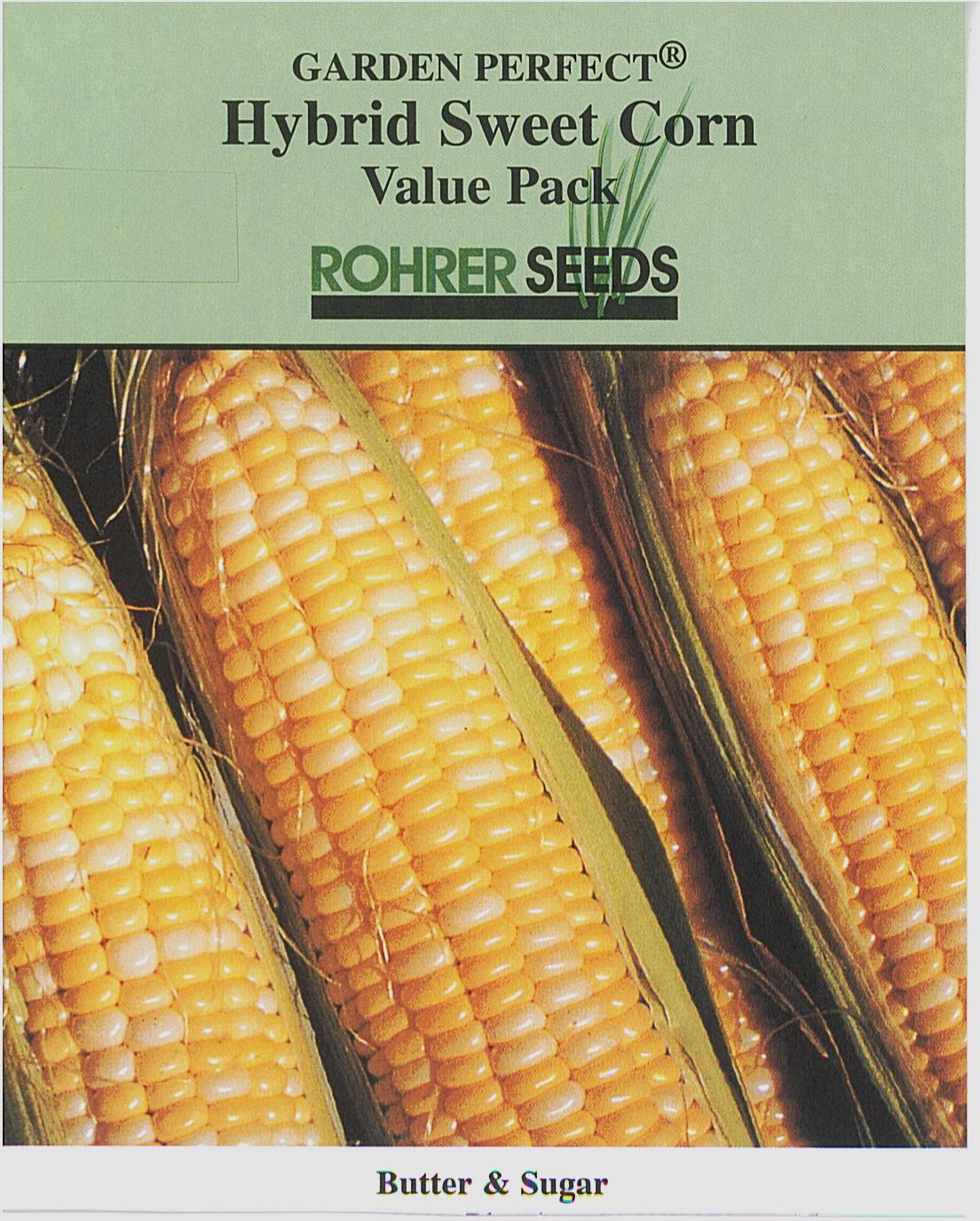 Butter & Sugar Sweet Corn Seeds