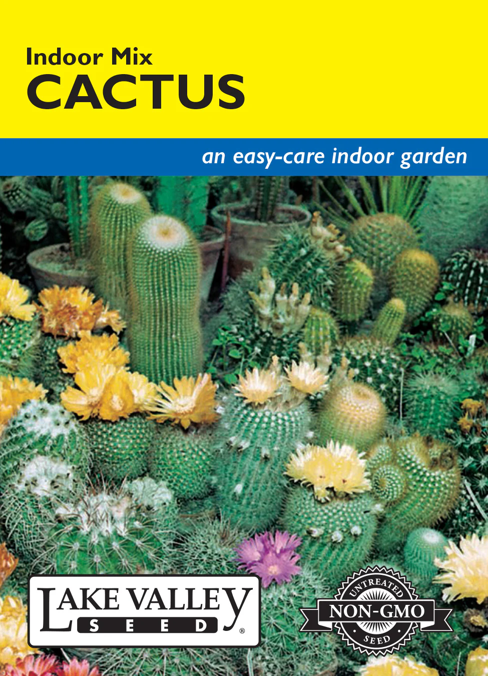 Cactus - Indoor Mix