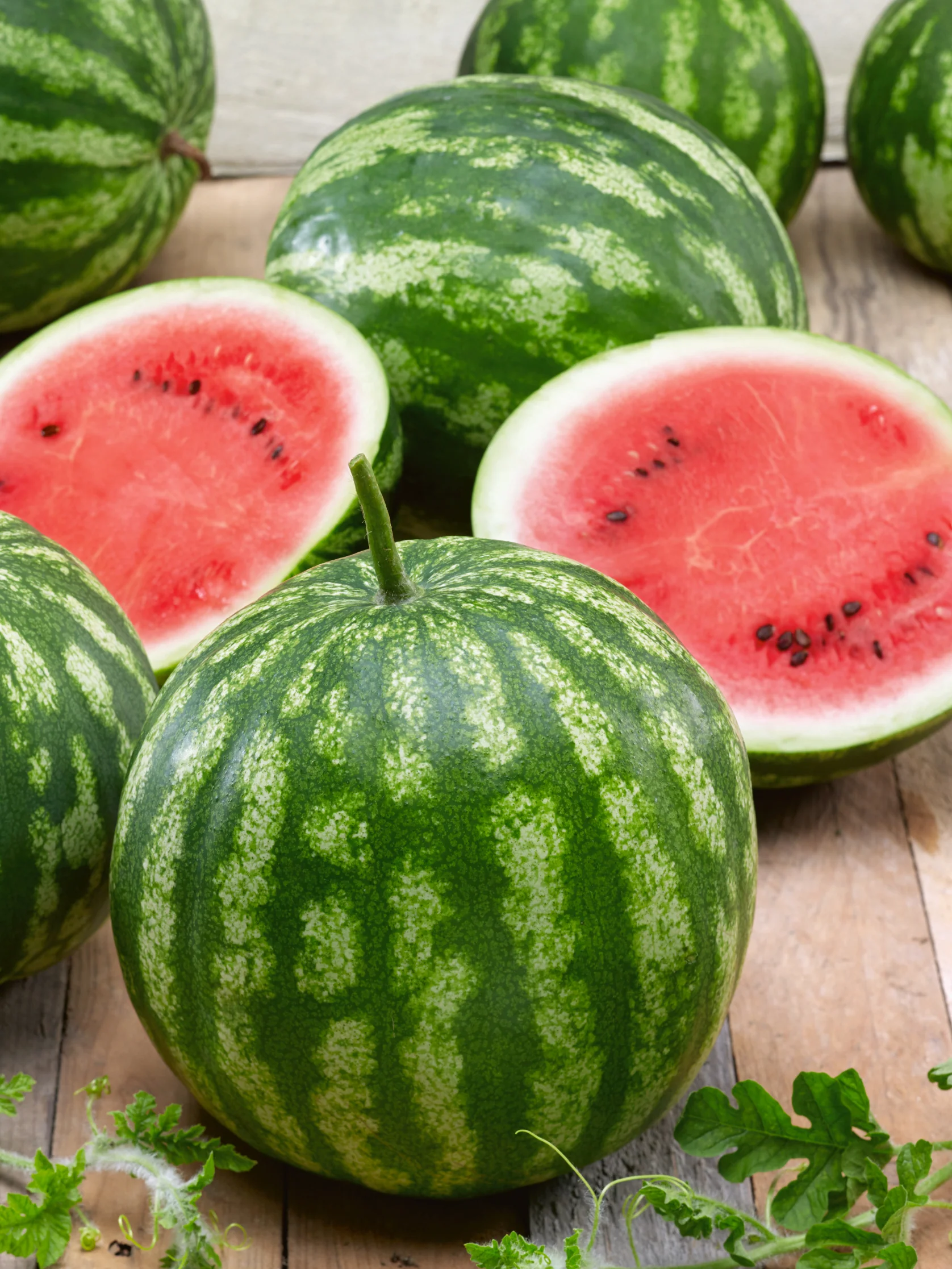 Cal Sweet Bush Watermelon (20 seeds), Container Collection