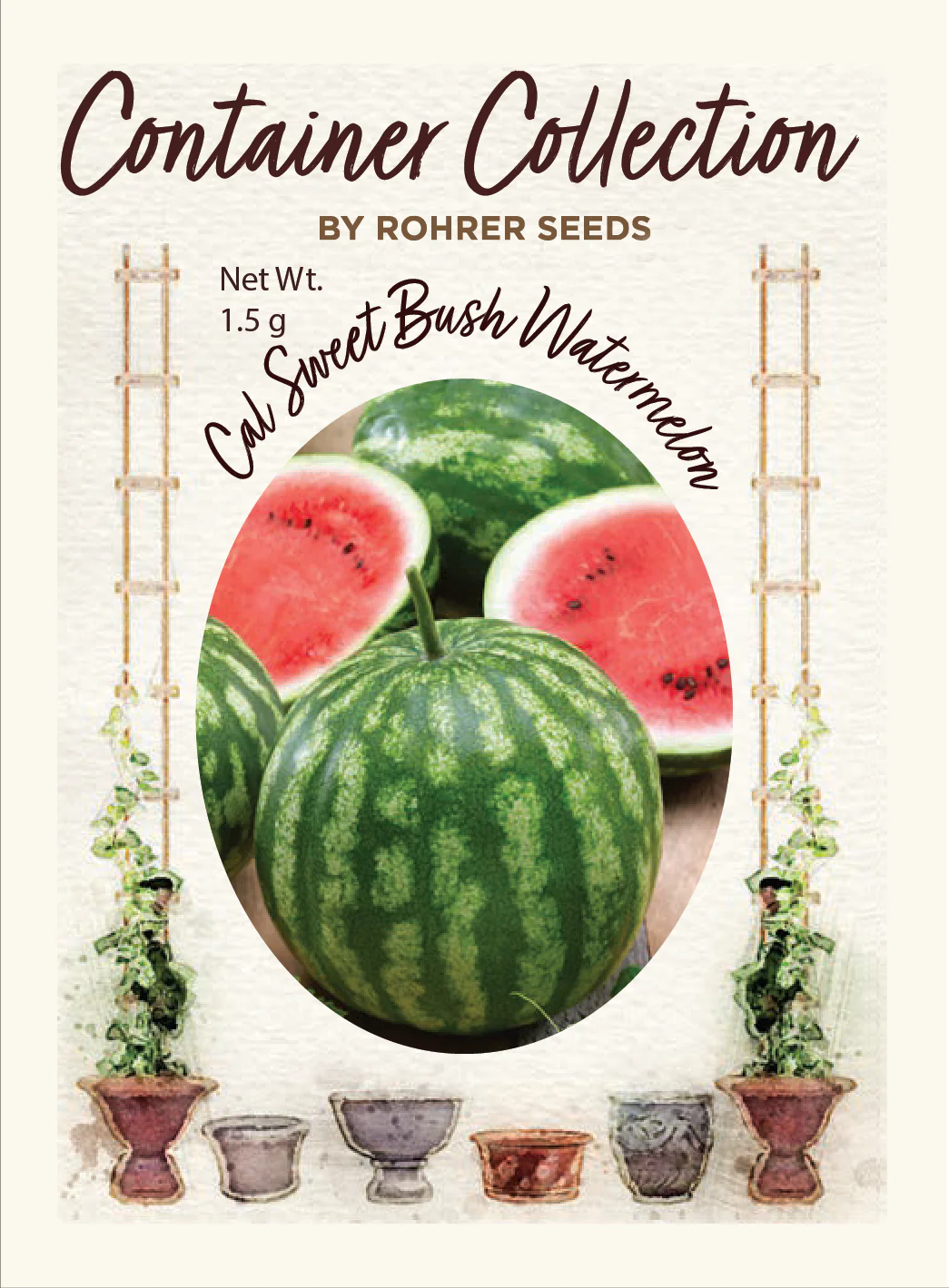 Cal Sweet Bush Watermelon (20 seeds), Container Collection - Image 2