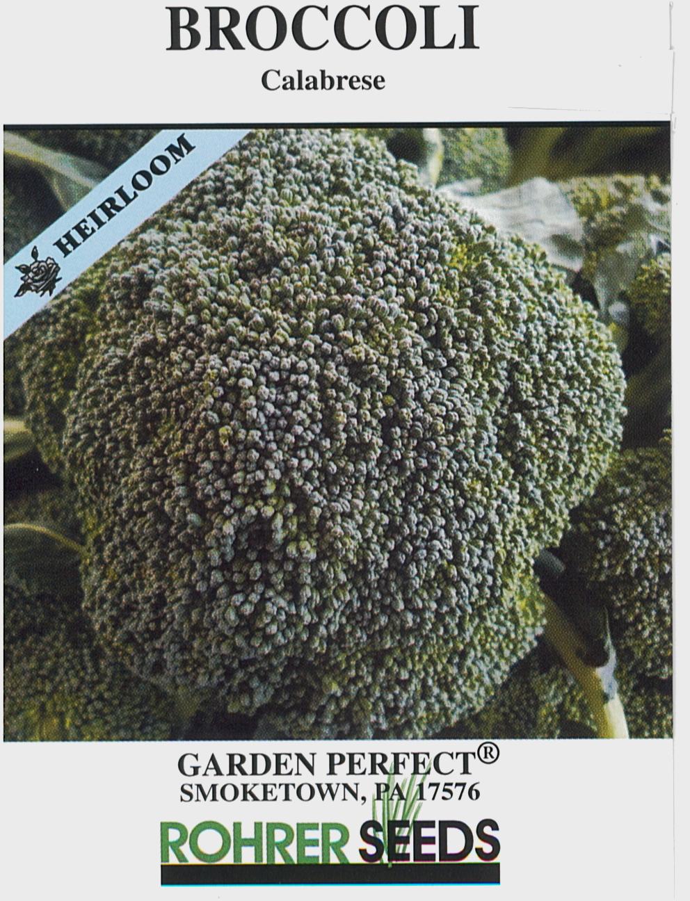 Calabrese Broccoli Seeds - Image 2