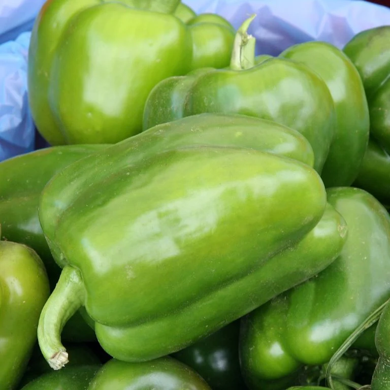 California Wonder Bell Pepper Seeds - Image 3