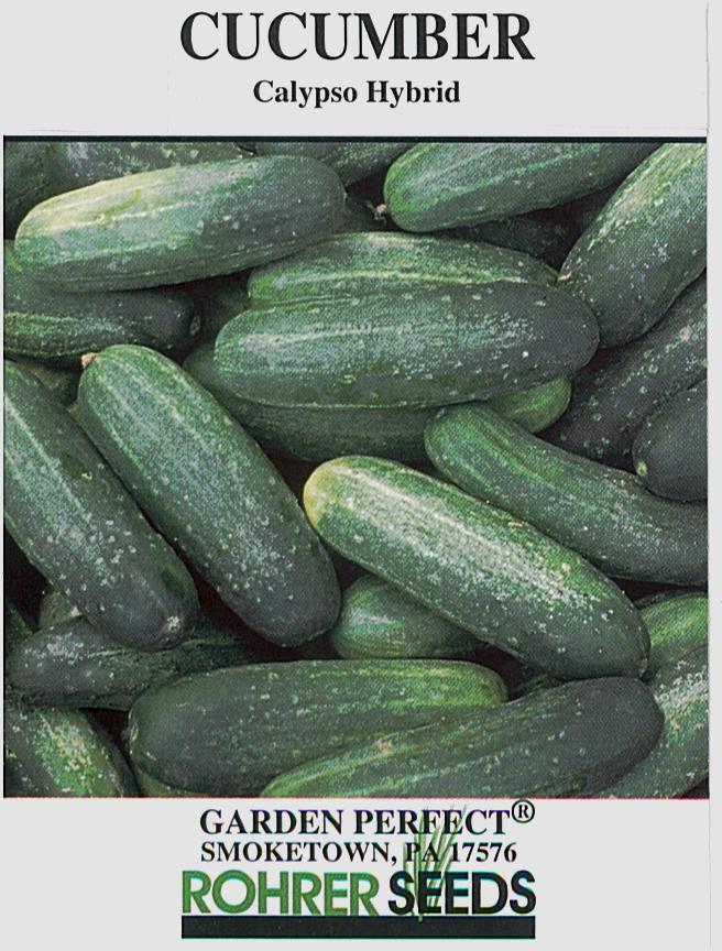 Calypso Hybrid Cucumber Seeds