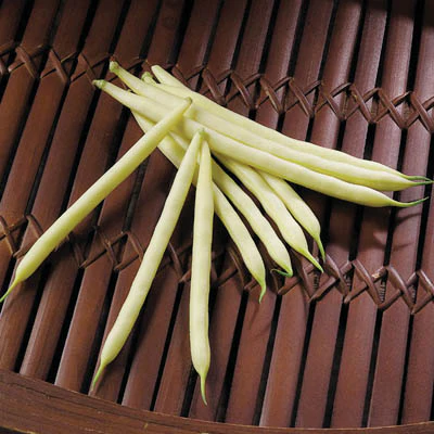 Carson Yellow Bean Seeds