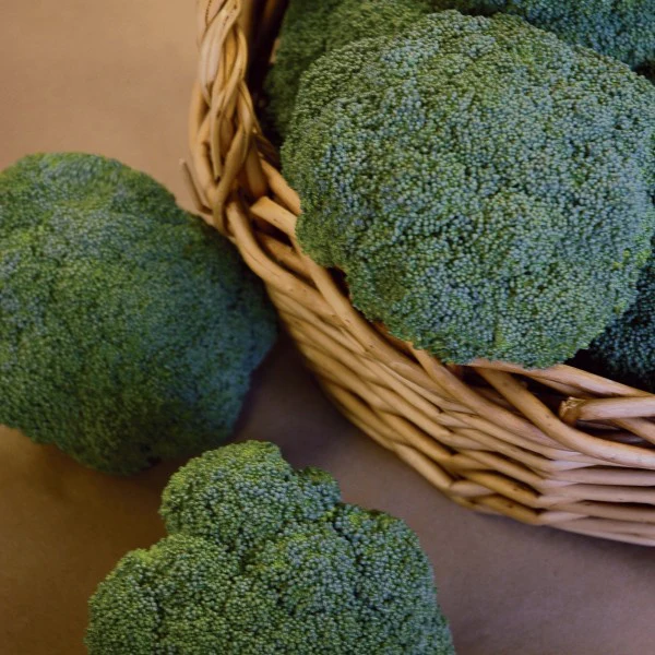 Castle Dome Hybrid Broccoli Seeds