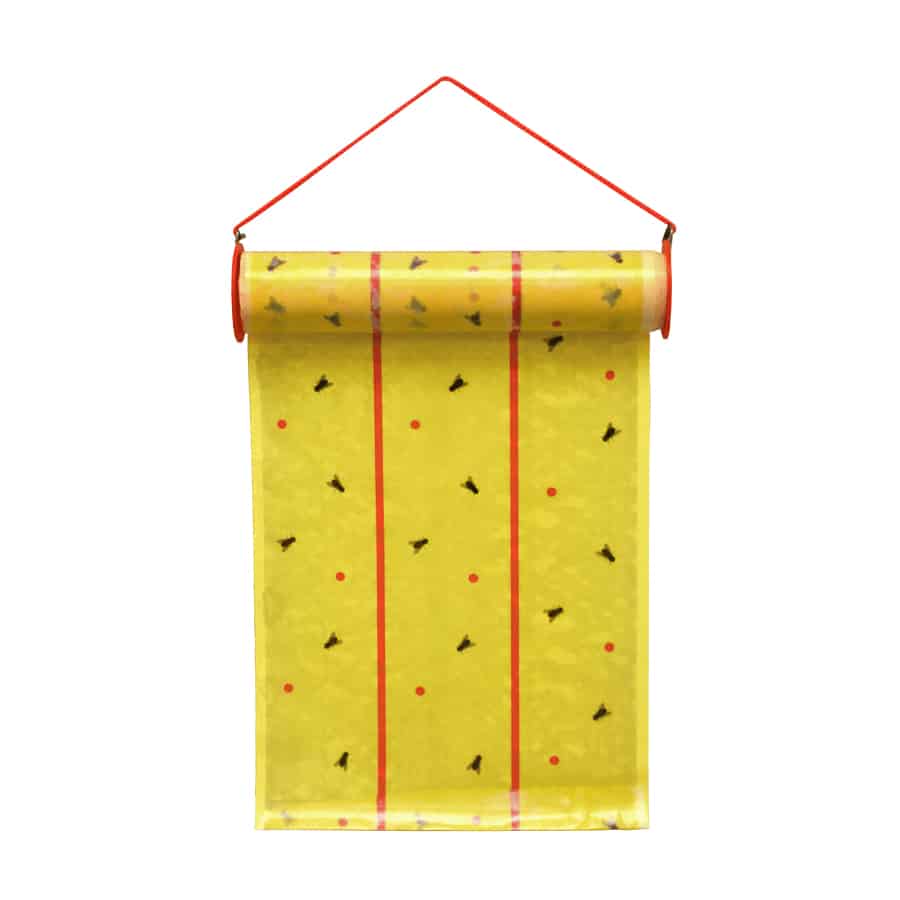 Catchmaster Giant Fly Trap Roll (10"X30') - Image 2