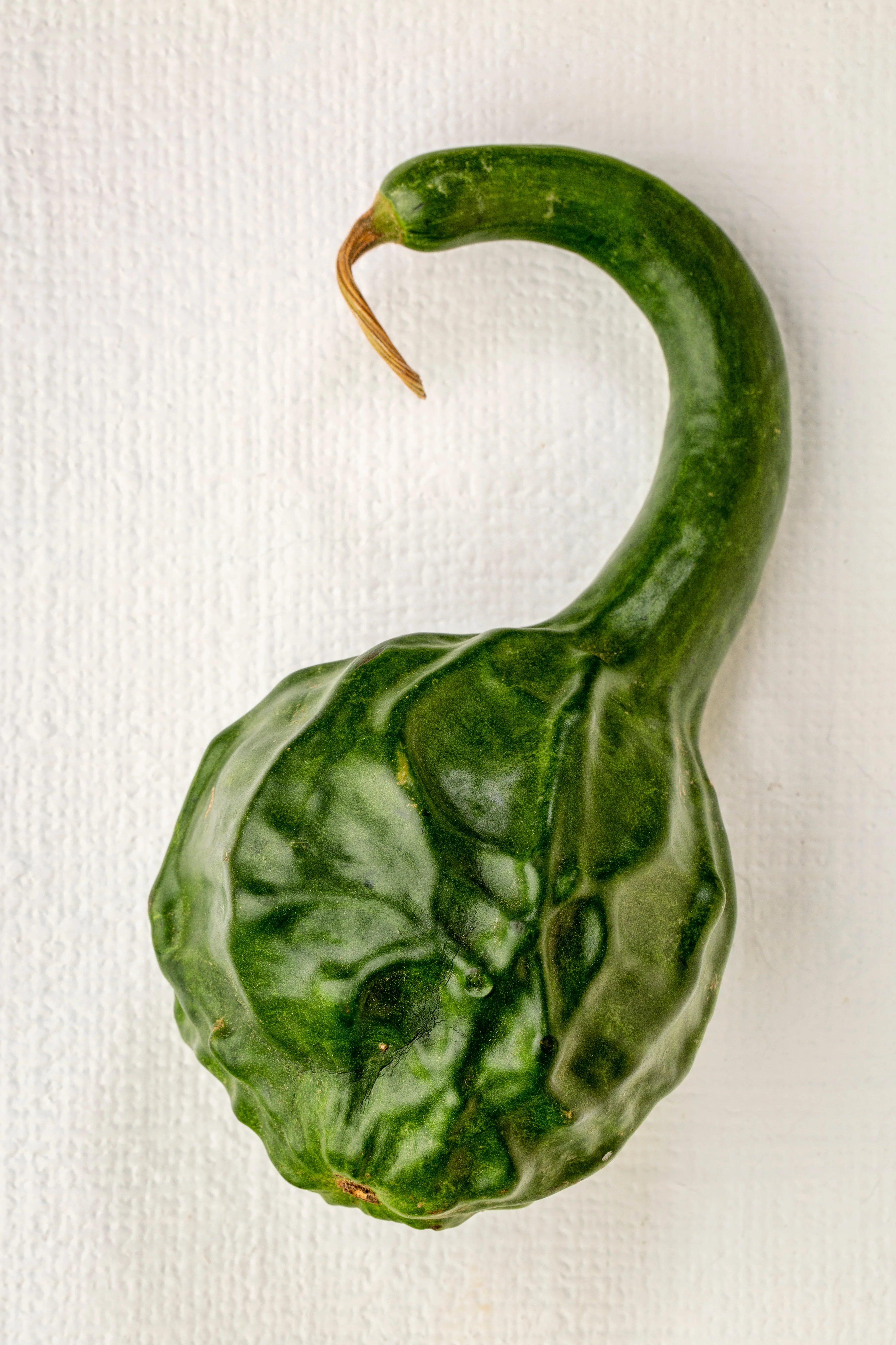 Caveman Club Gourd Seeds