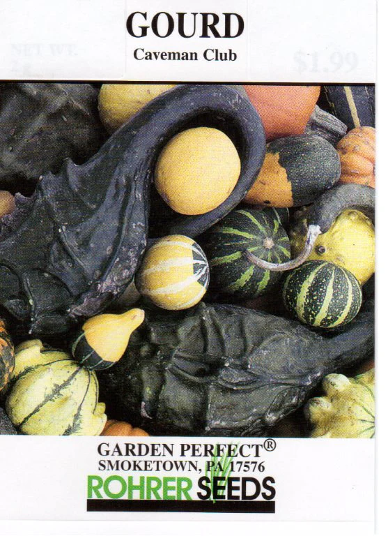 Caveman Club Gourd Seeds - Image 2