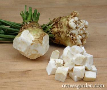 Celeriac/Celery Root Prinz