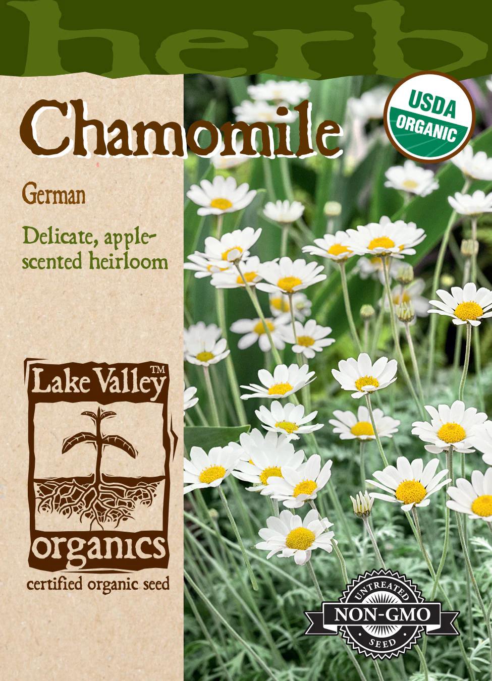 Organic Chamomile