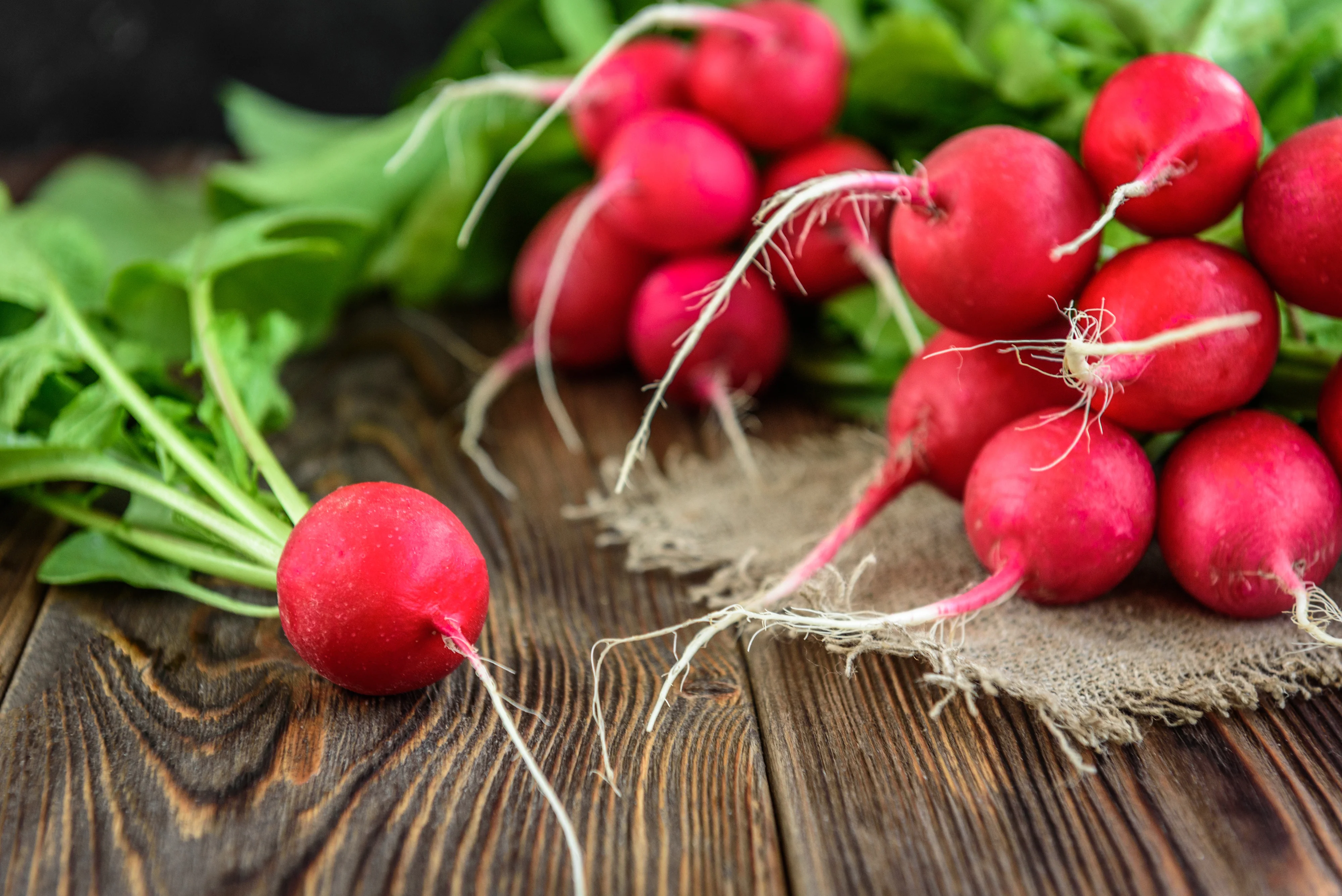 Cherry Belle Radish Seeds