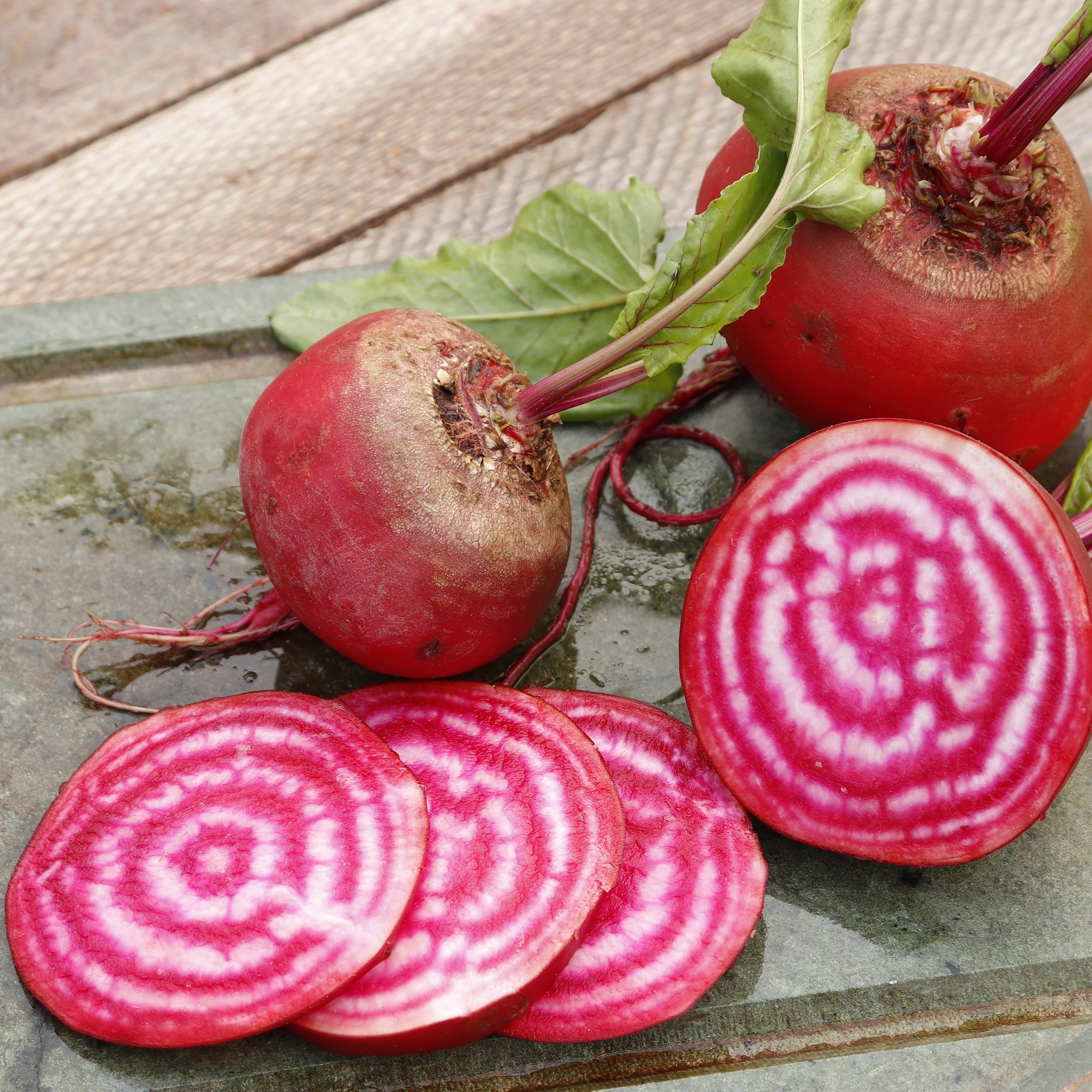 Chioggia Beet Seeds