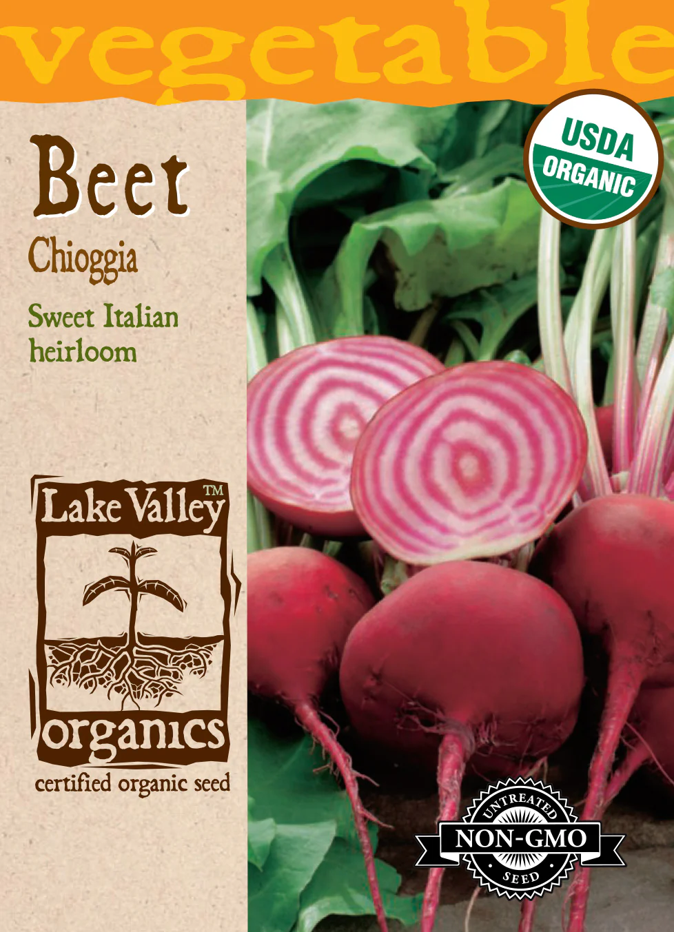 Organic Chioggia Beet