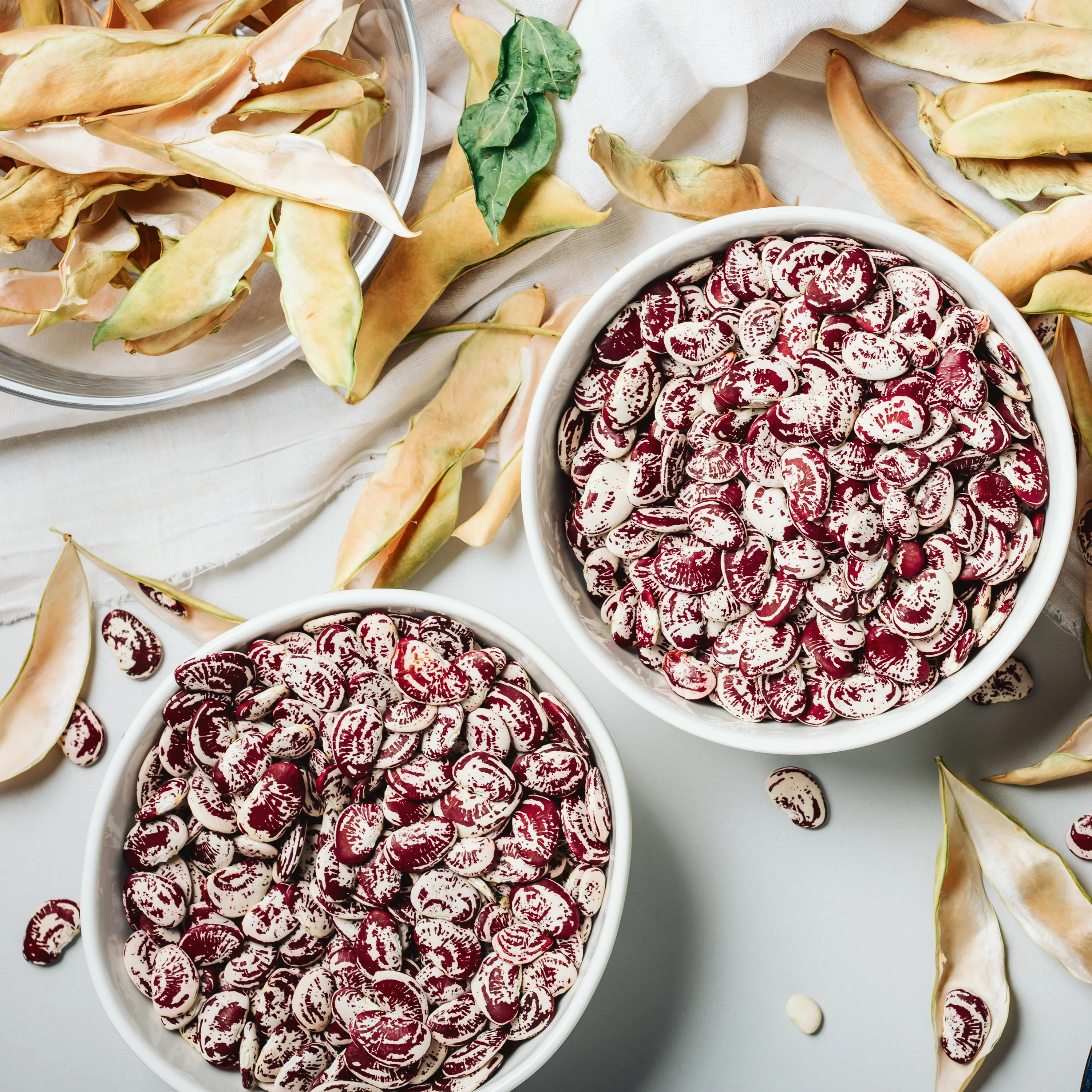 Christmas Pole Lima Bean Seeds